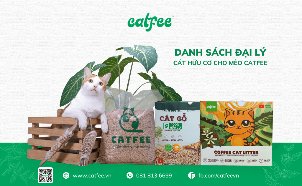 Danh sách ĐẠI LÝ chính thức của Catfee Việt Nam