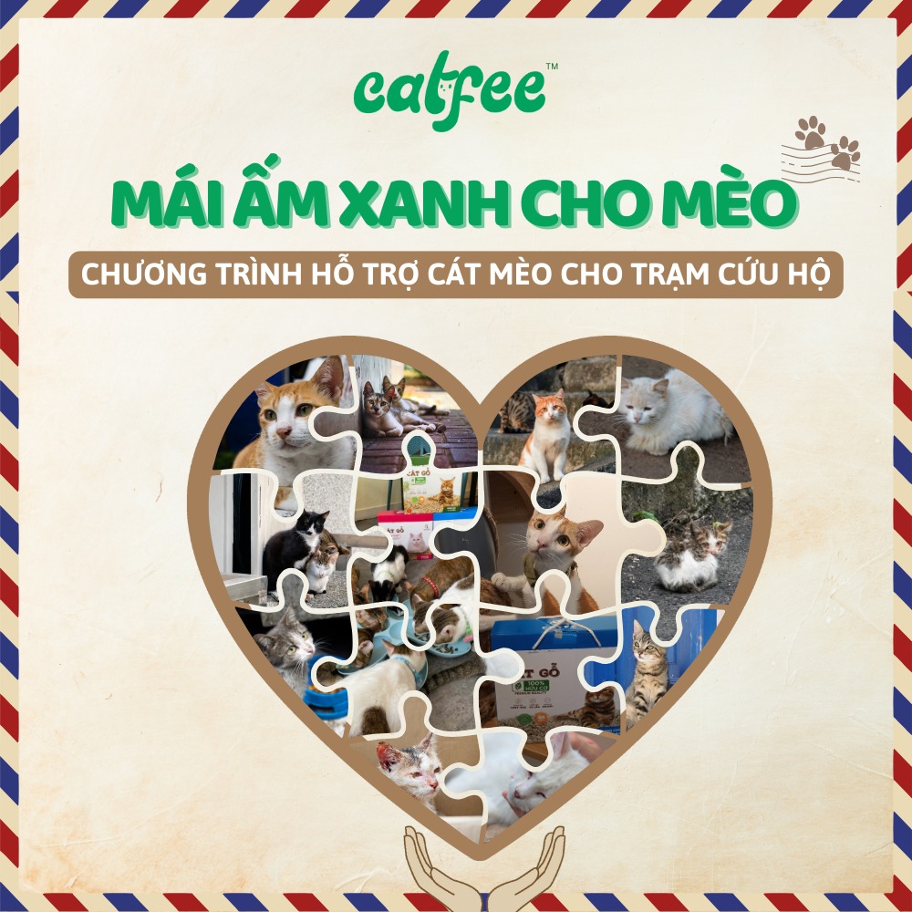 Catfee và Mái Ấm Xanh cho Mèo