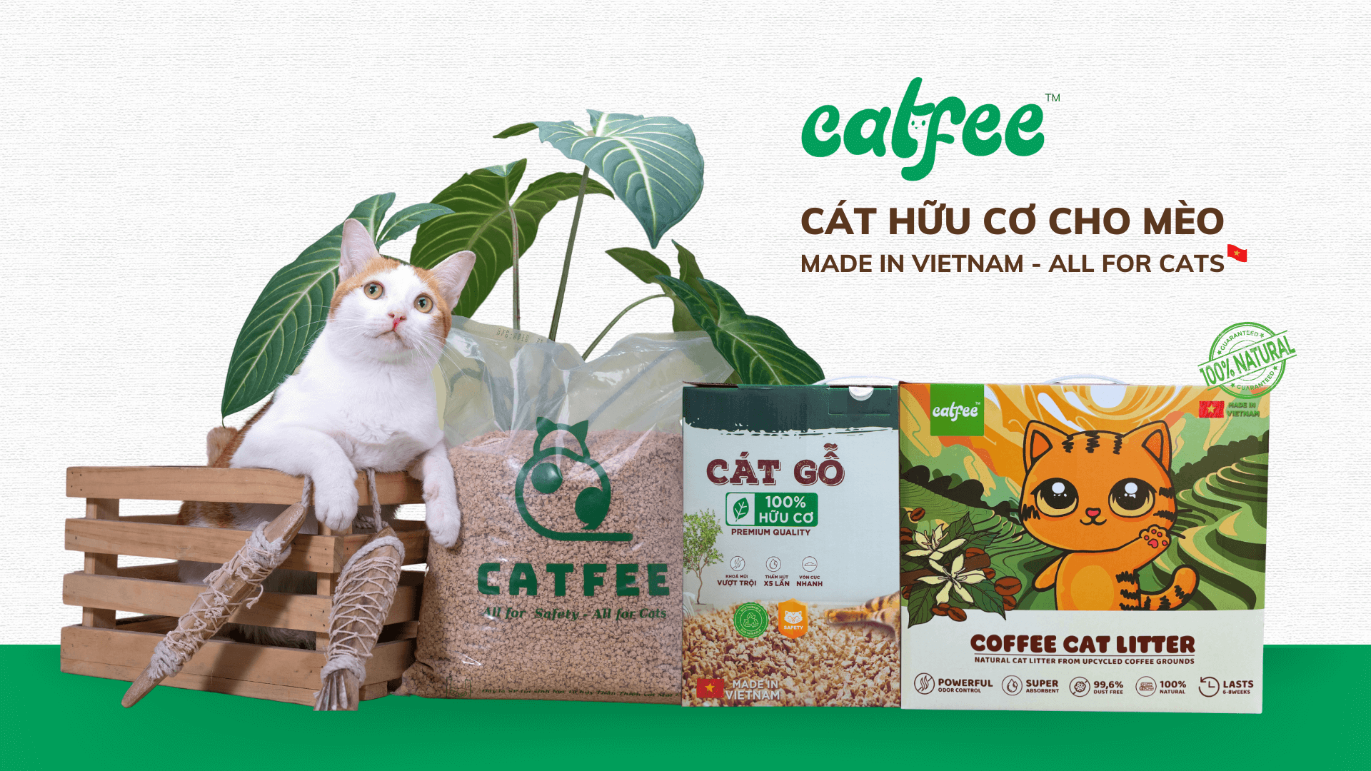 cát hữu cơ cho mèo catfee