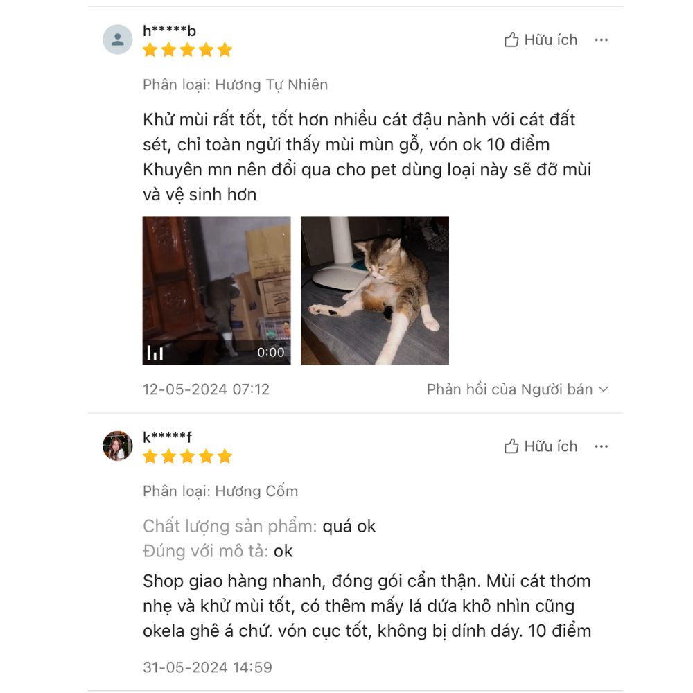 review cát gỗ catfee cho mèo