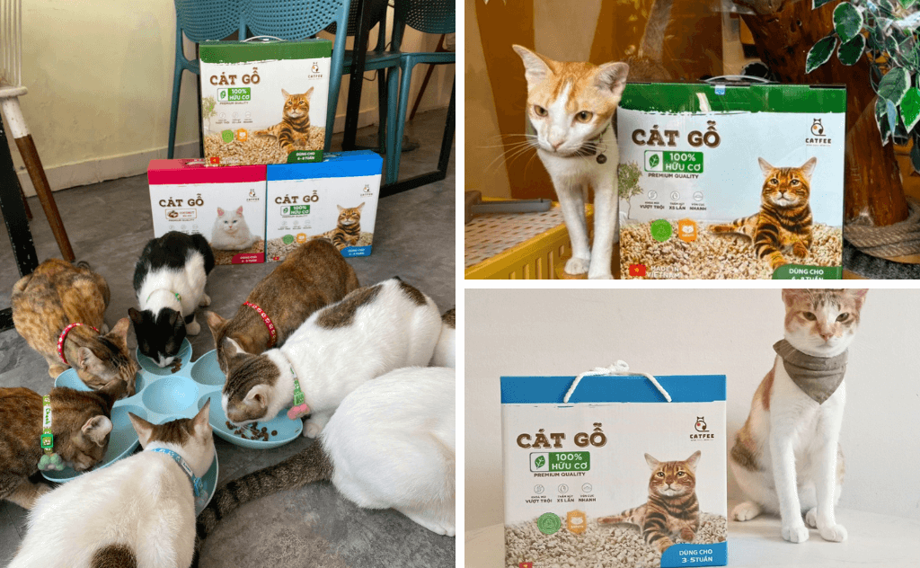 Catfee™ đồng hành cùng WagWel Rescue