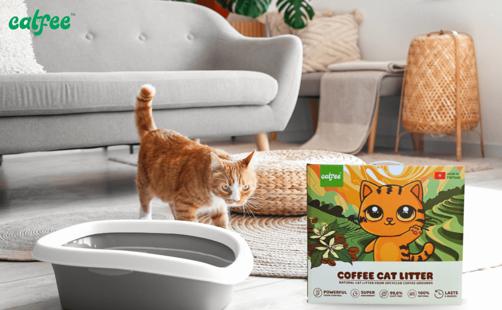 Cat Litter From Upcycled Coffee Grounds Catfee Vietnam