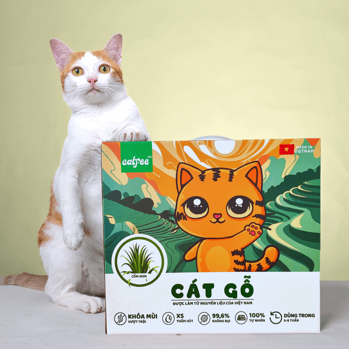 Cát gỗ Catfee cho mèo