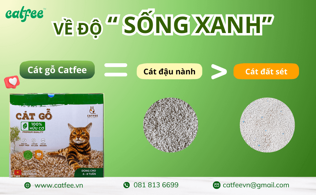 Cát gỗ catfee thân thiện môi trường