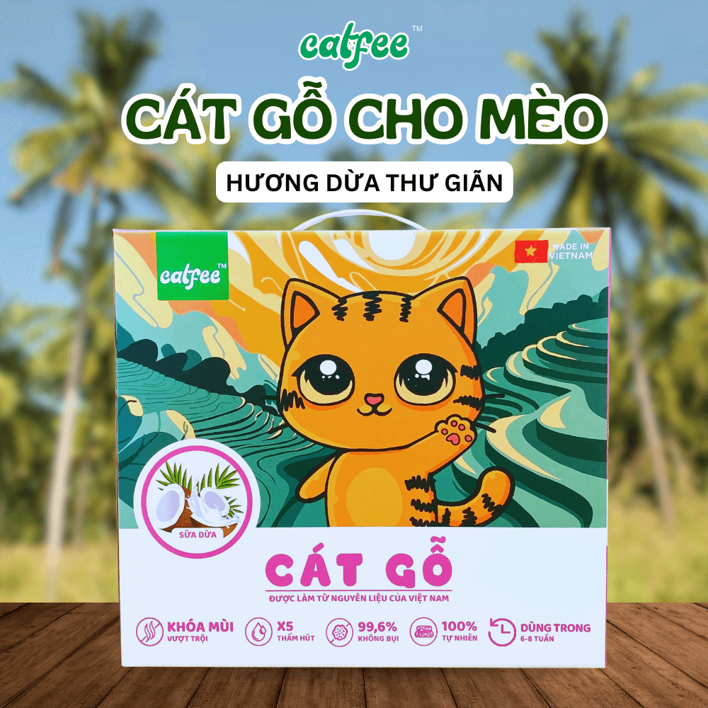 cát gỗ Catfee hương dừa thư giãn