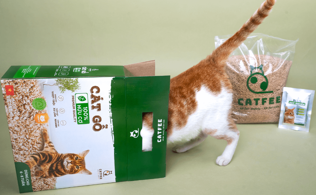 sử dụng cát gỗ cho mèo Catfee tiết kiệm