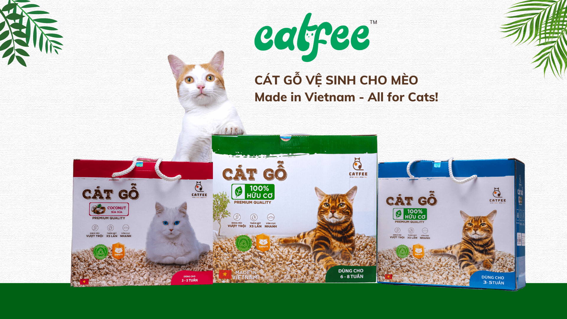 cát gỗ Catfee cho mèo